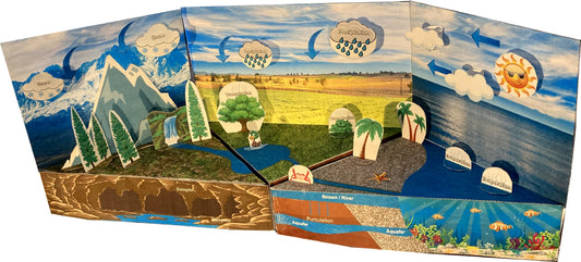 Water Cycle - Evaporation, Precipitation, Rain, & Snow - Paper Model Project Kit