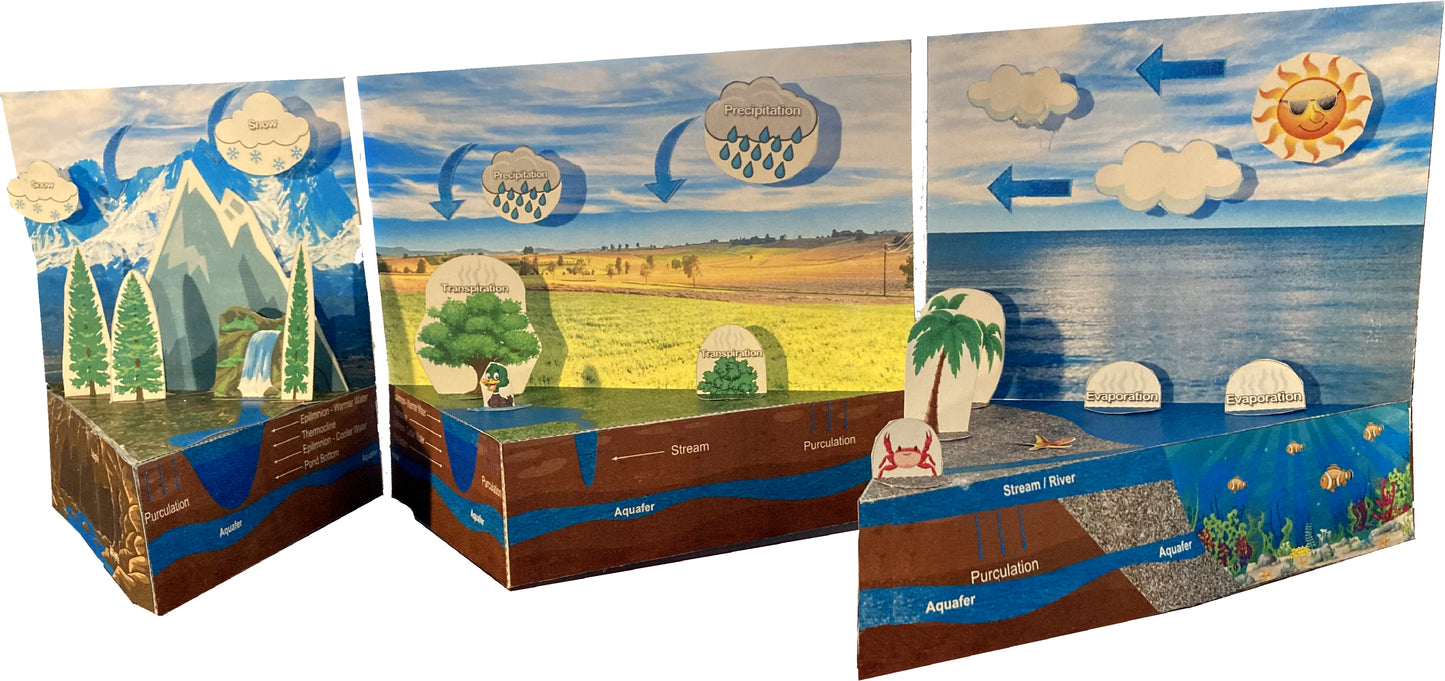 Water Cycle - Evaporation, Precipitation, Rain, & Snow - Paper Model Project Kit