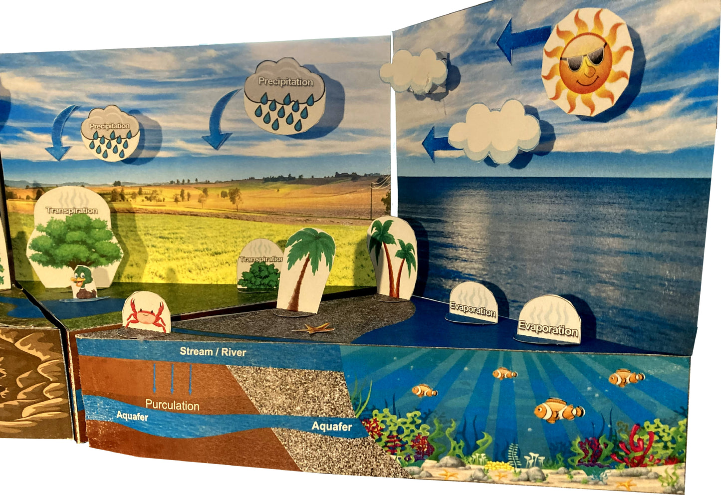 Water Cycle - Evaporation, Precipitation, Rain, & Snow - Paper Model Project Kit